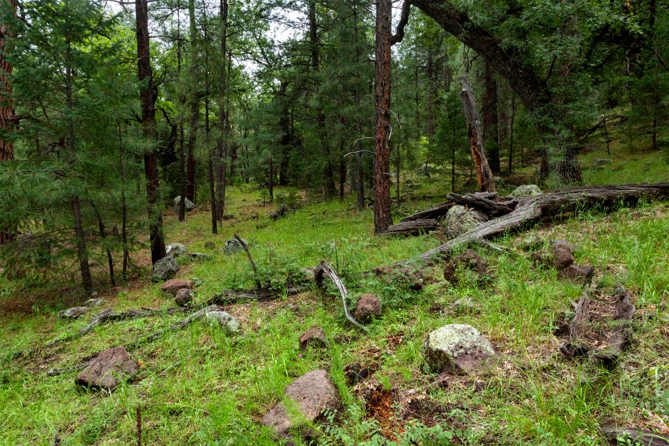 Near Little Cherry Creek