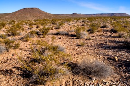 Western foothills of the Sierra de las Uvas