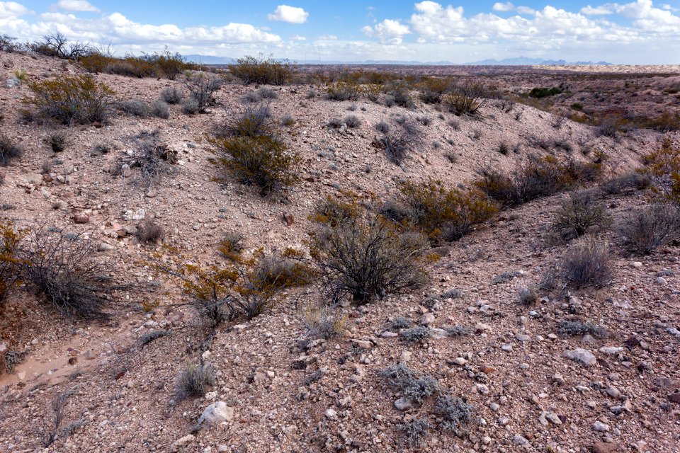 West of Rincon Arroyo