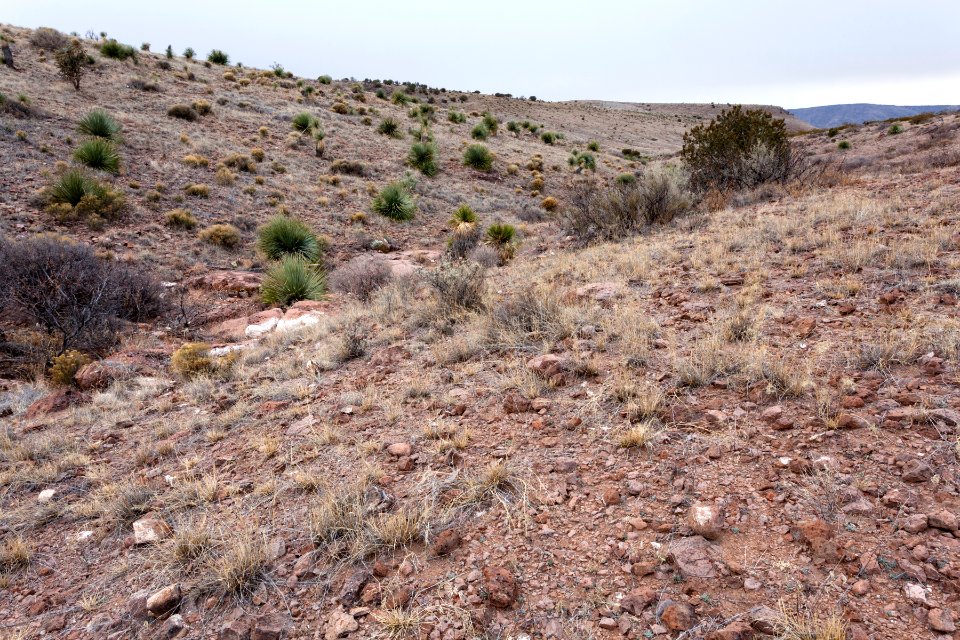 Southern Sierra de las Uvas