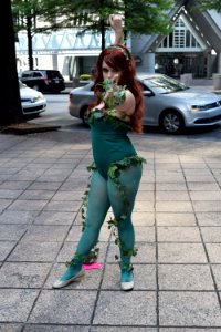 DSC 0086