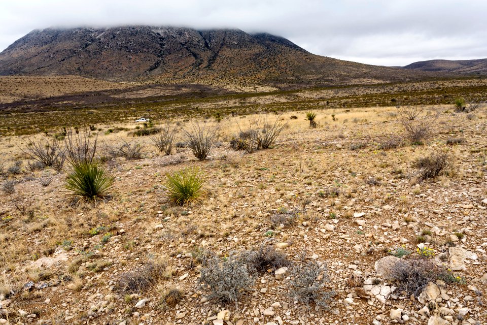 East of Wind Mountain