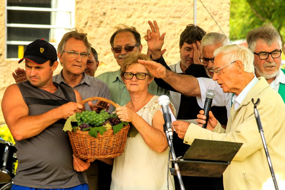 03.02.2019 - Abertura da 9ª edição da Colheita da Uva na Colônia São Manoel, 8º distrito, Rincão da Cruz - Foto: Gustavo Vara