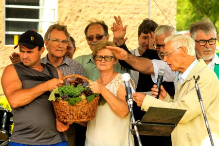 03.02.2019 - Abertura da 9ª edição da Colheita da Uva na Colônia São Manoel, 8º distrito, Rincão da Cruz - Foto: Gustavo Vara