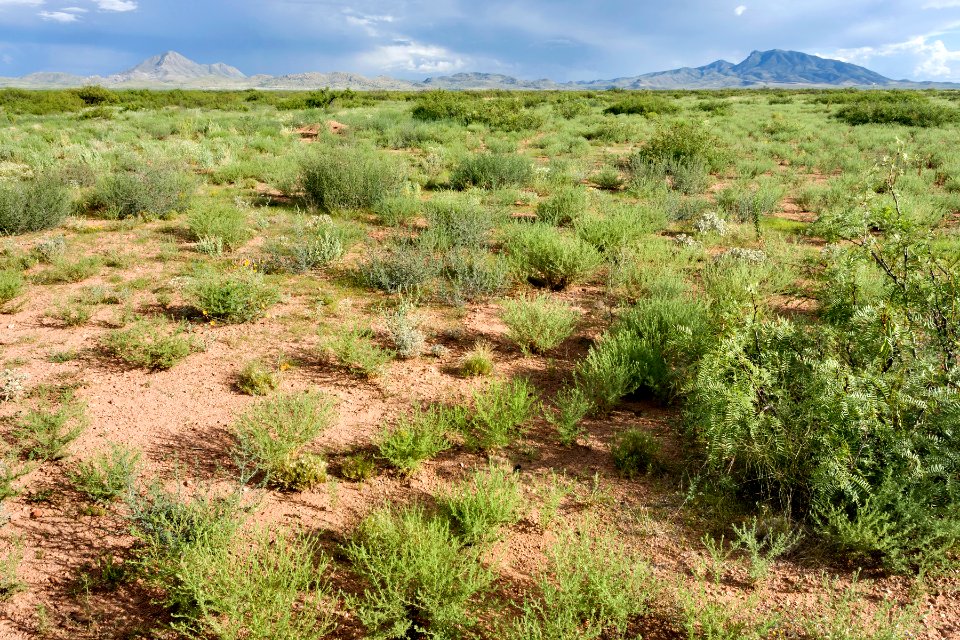 Near Bull Creek