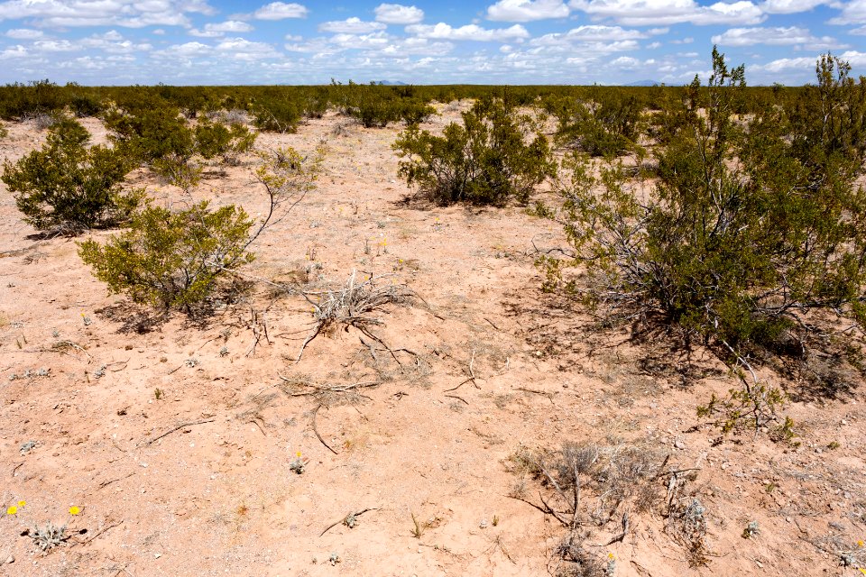 Near Goat Ridge