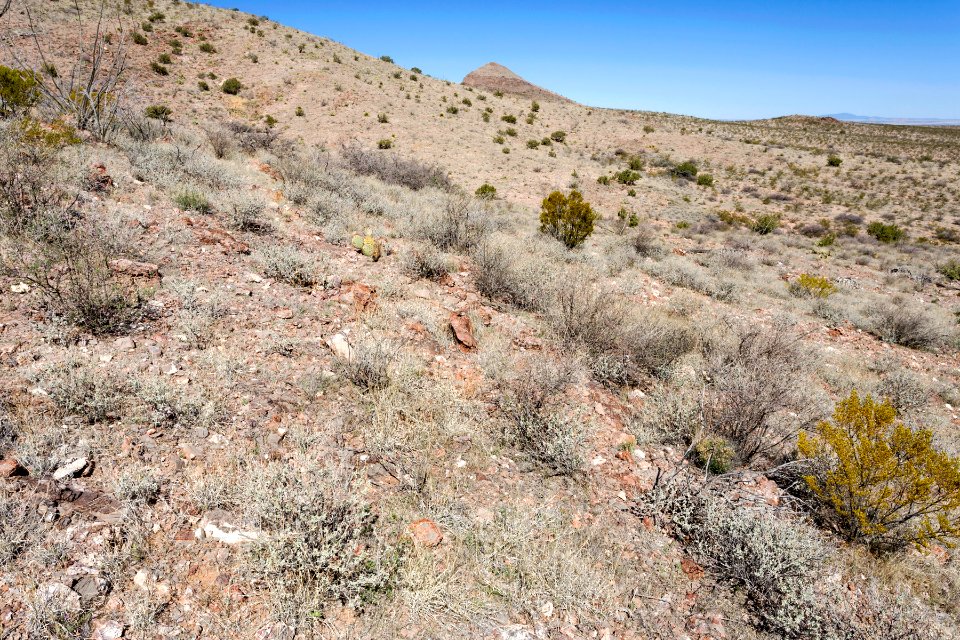 Southeast of Sheep Mountain