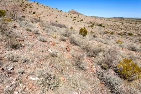 Southeast of Sheep Mountain