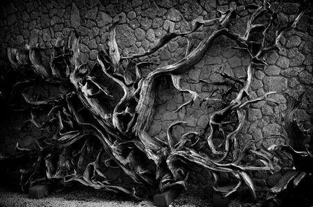 Stone wall the darkness jeju island