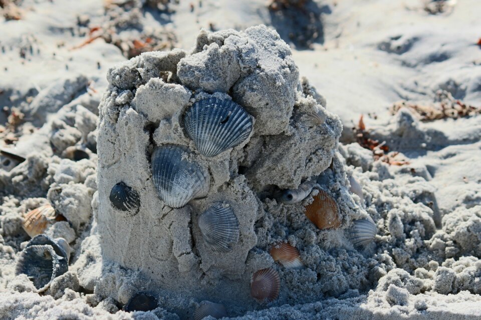 Beach summer nature