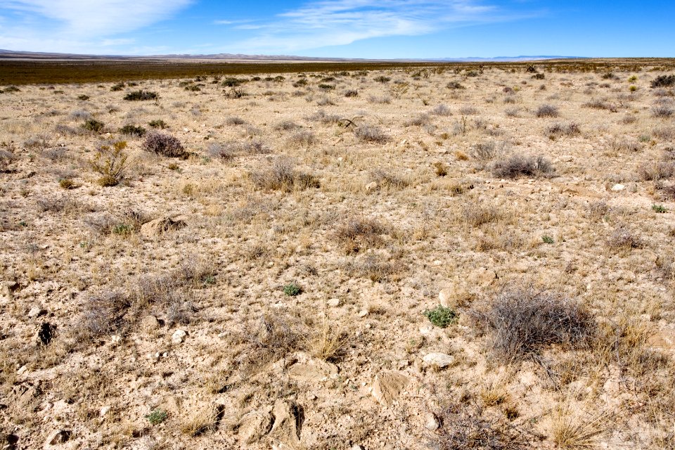 Eastern Otero Mesa