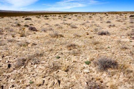 Eastern Otero Mesa
