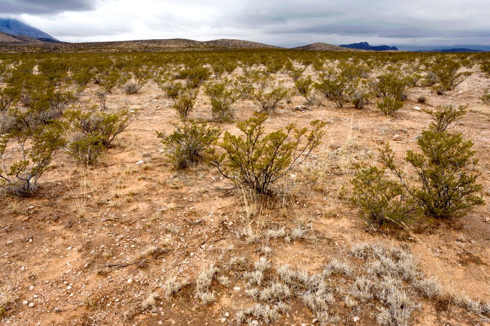 Northeast of Black Mountain