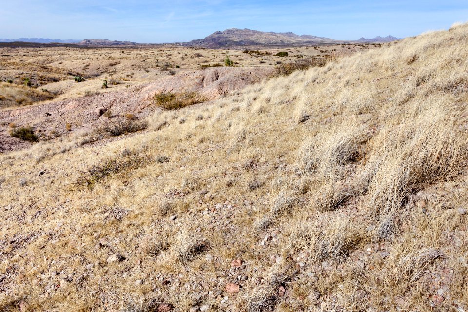 Southwest of Redrock