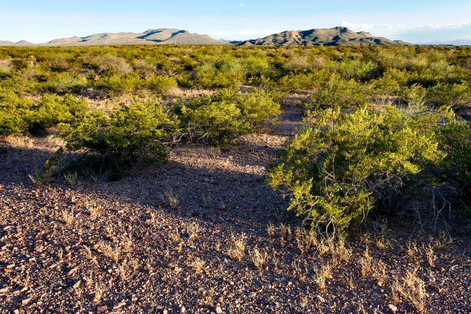 Near Slick Rock Wash