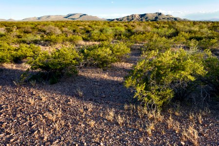 Near Slick Rock Wash