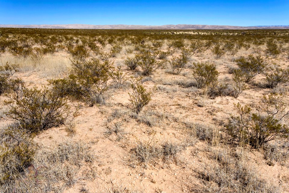 Otero Mesa