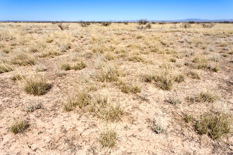 North edge of Lordsburg Playa