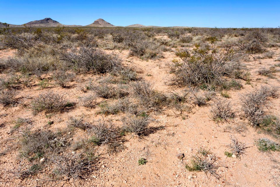 East of Sheep Mountain