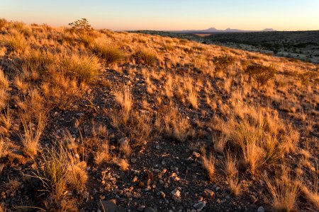 Northeastern Otero Mesa