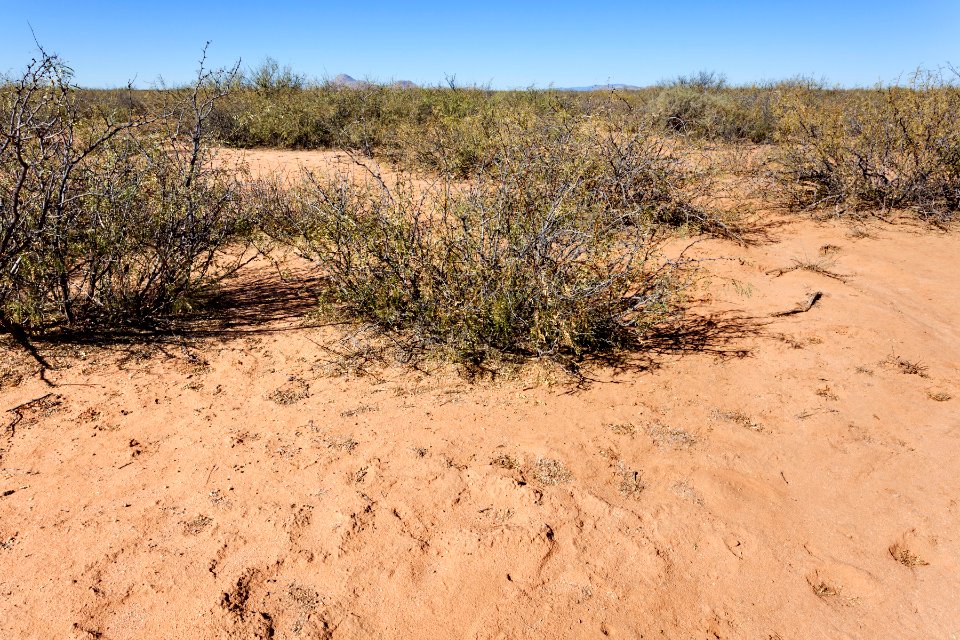 Plains west of Deming