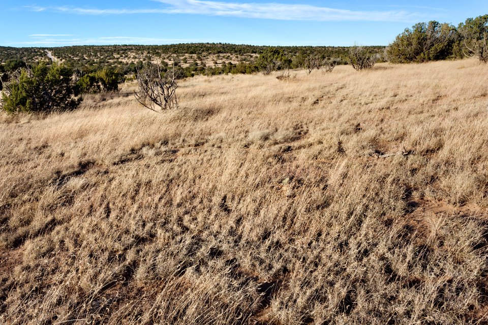 Near Last Chance Canyon