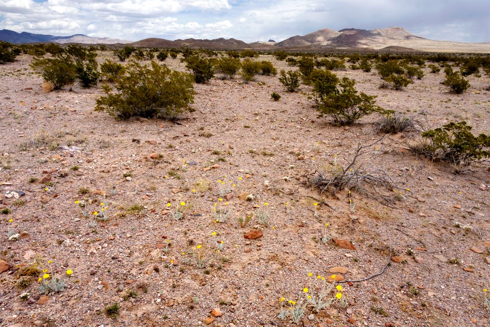 Near Goat Ridge