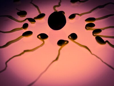 Sex cell winner competition