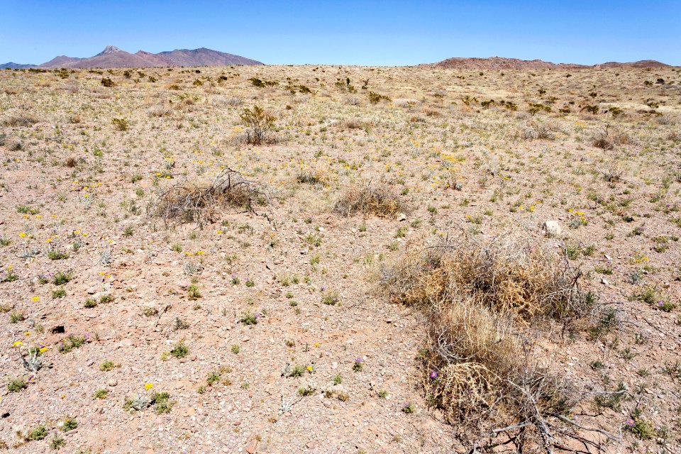 Near Goat Ridge