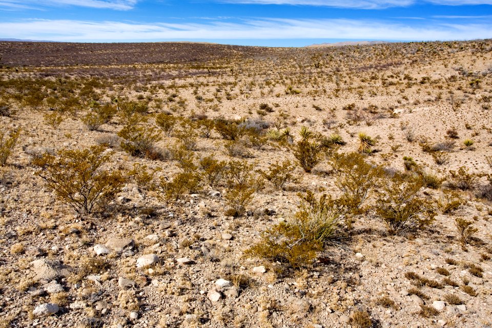 Foothills of the Guadalupe Mountains