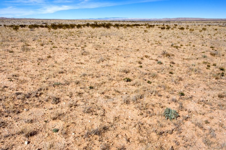 Eastern Otero Mesa