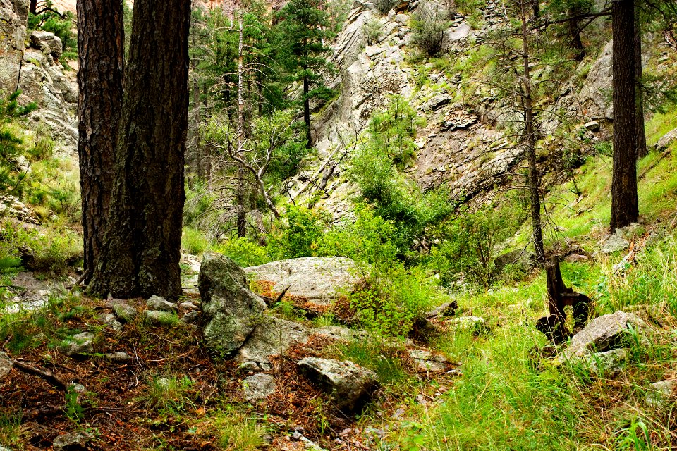 North Percha Creek