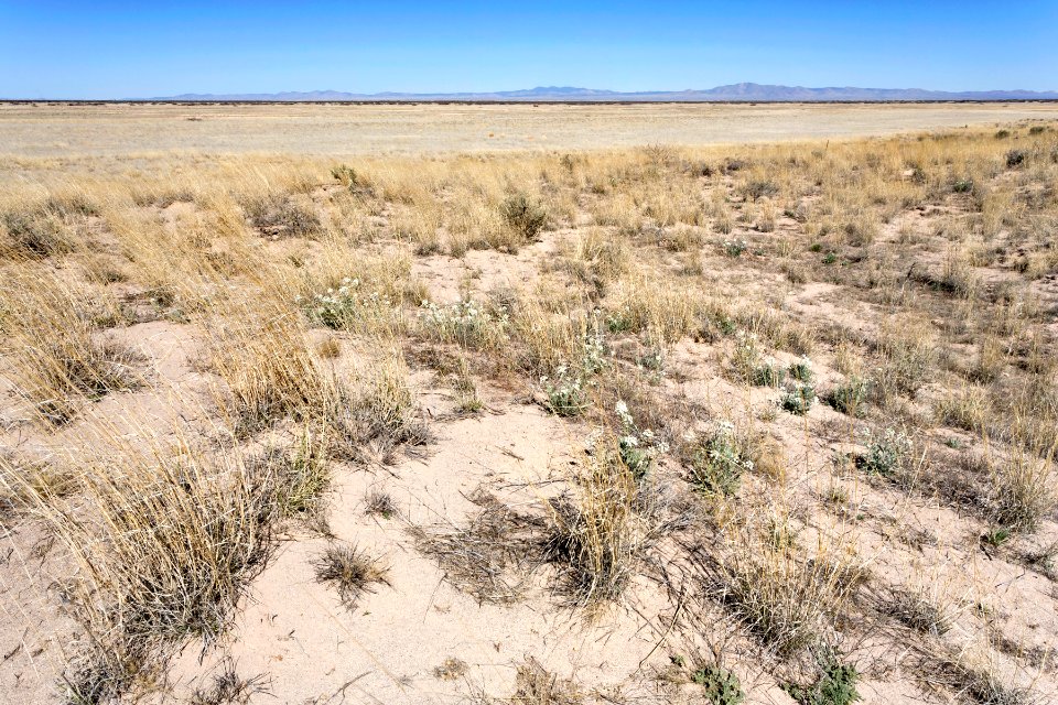 North edge of Lordsburg Playa