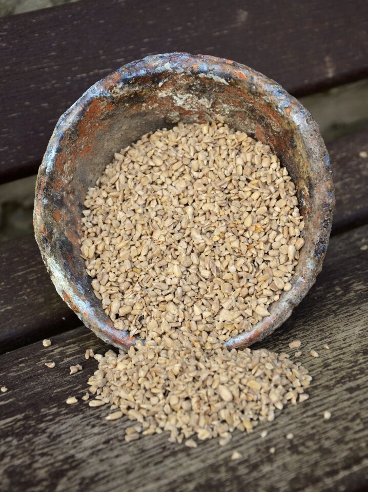 Sunflower seeds cores bird seed
