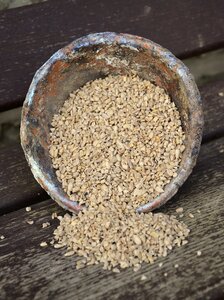 Sunflower seeds cores bird seed