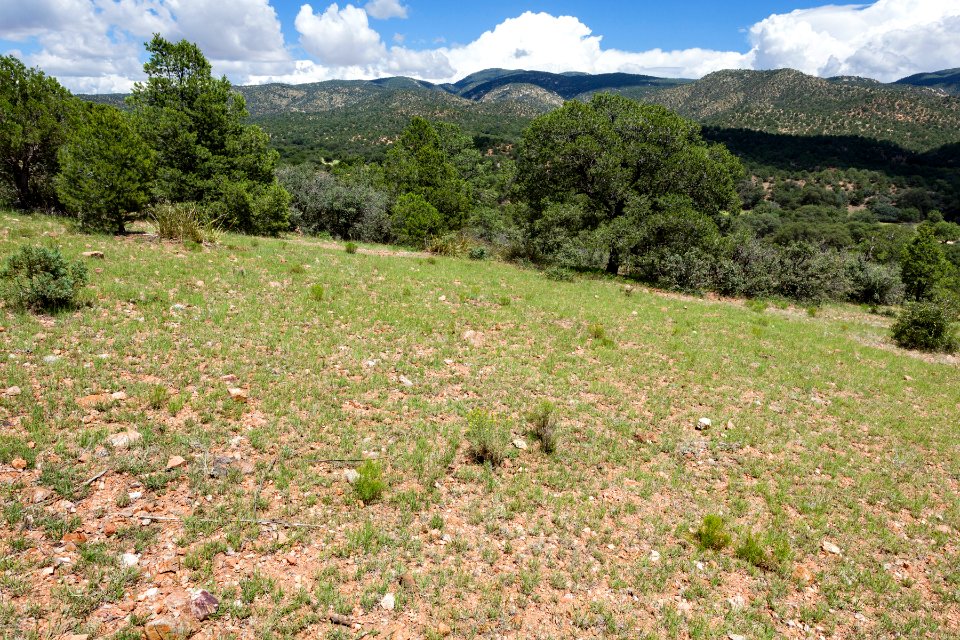Near Thompson Canyon
