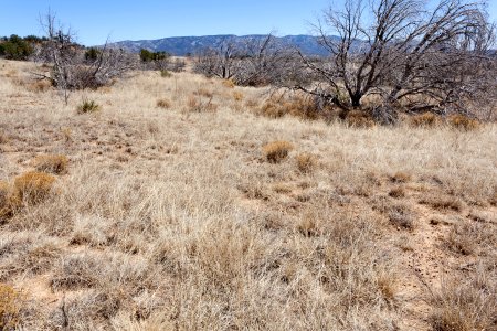 Fort Stanton