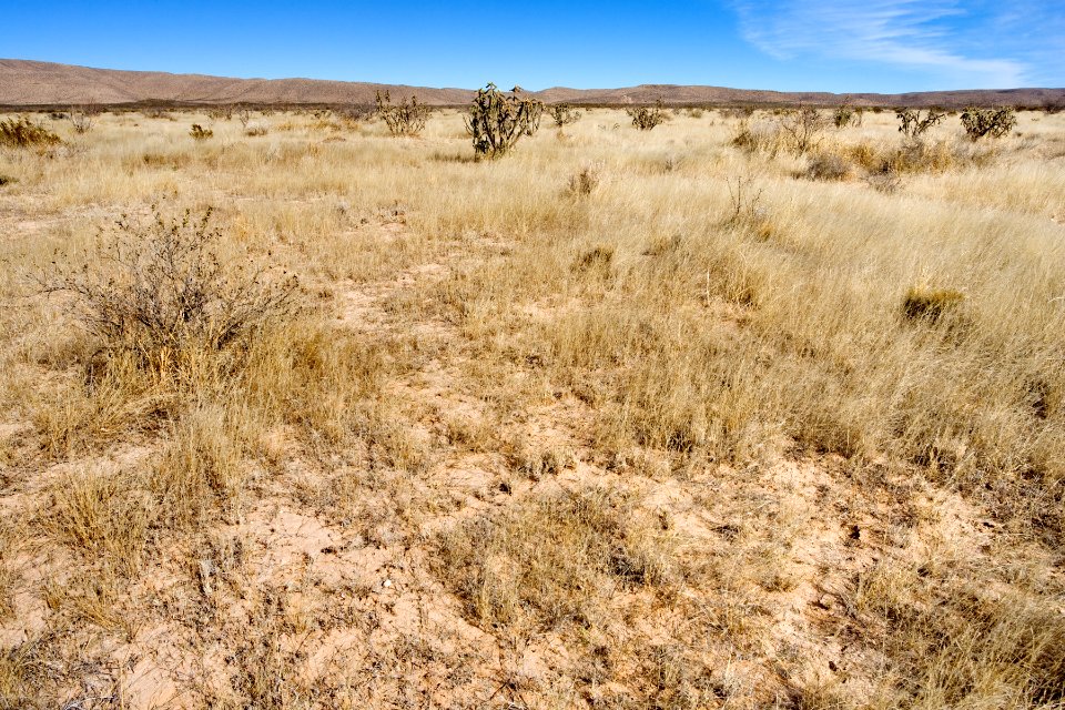 Eastern Otero Mesa