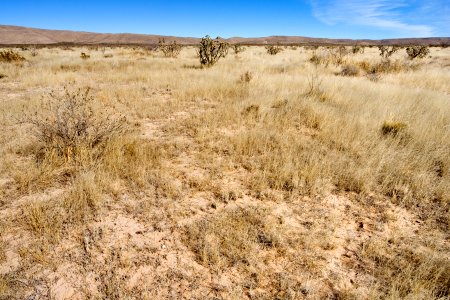 Eastern Otero Mesa