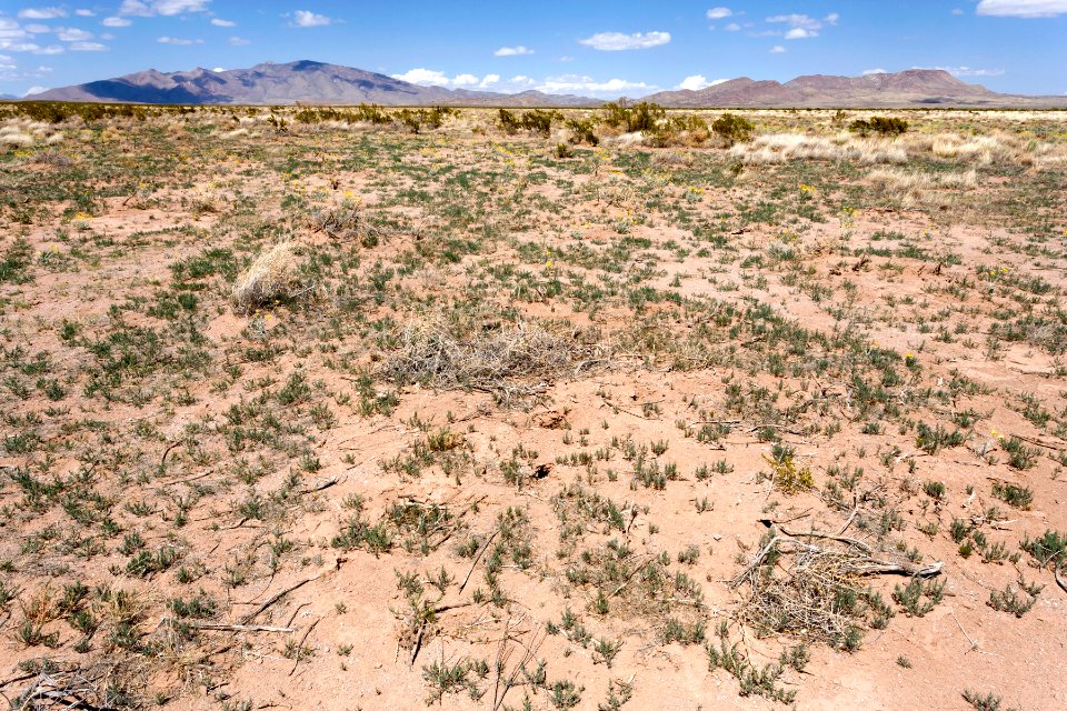 Near Goat Ridge