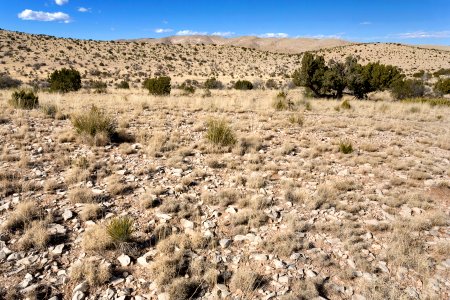 Near Moccasin Draw