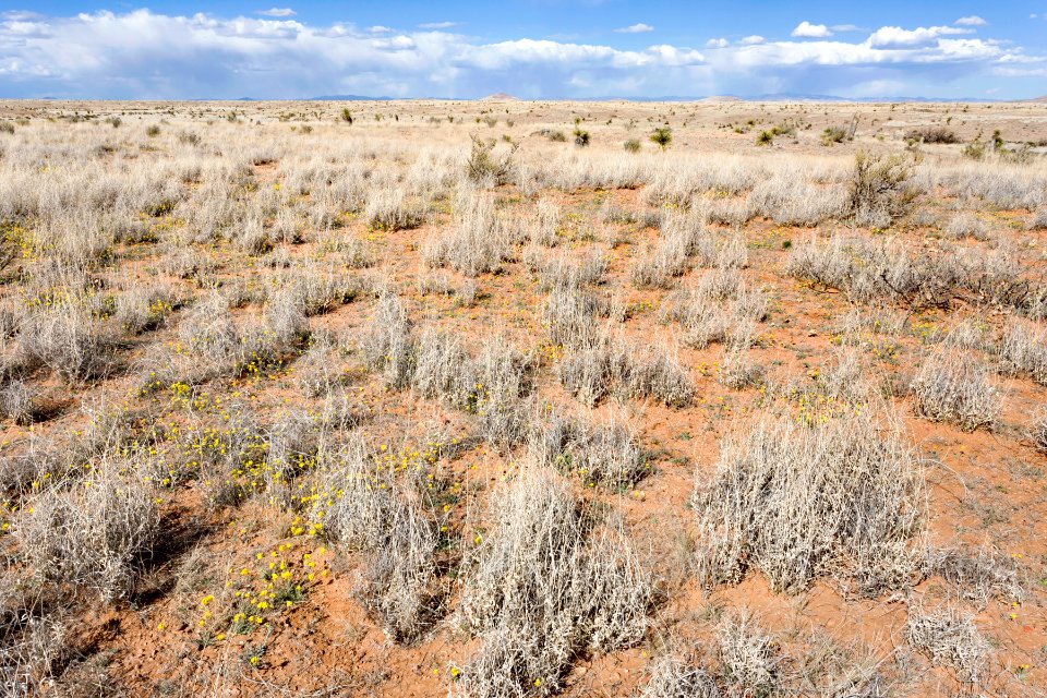 Near Flat Canyon