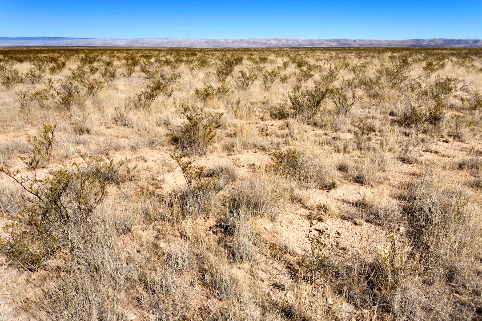 Otero Mesa