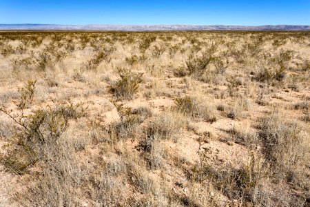 Otero Mesa
