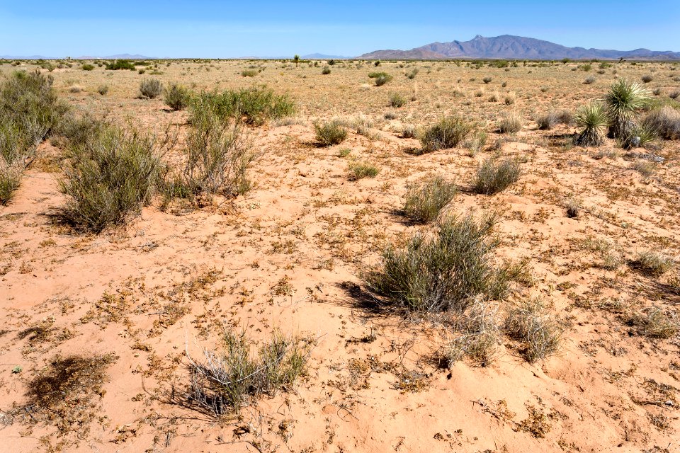Near Goat Ridge