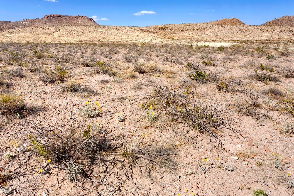 Near Fluorite Ridge