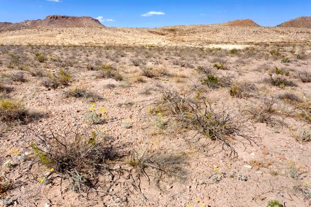 Near Fluorite Ridge