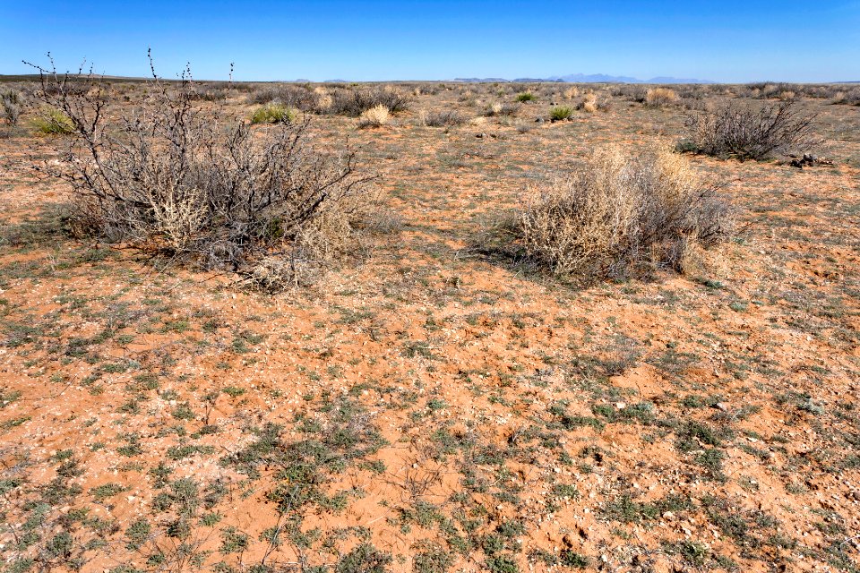 South of Apache Flats