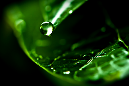 The-Water-Drop