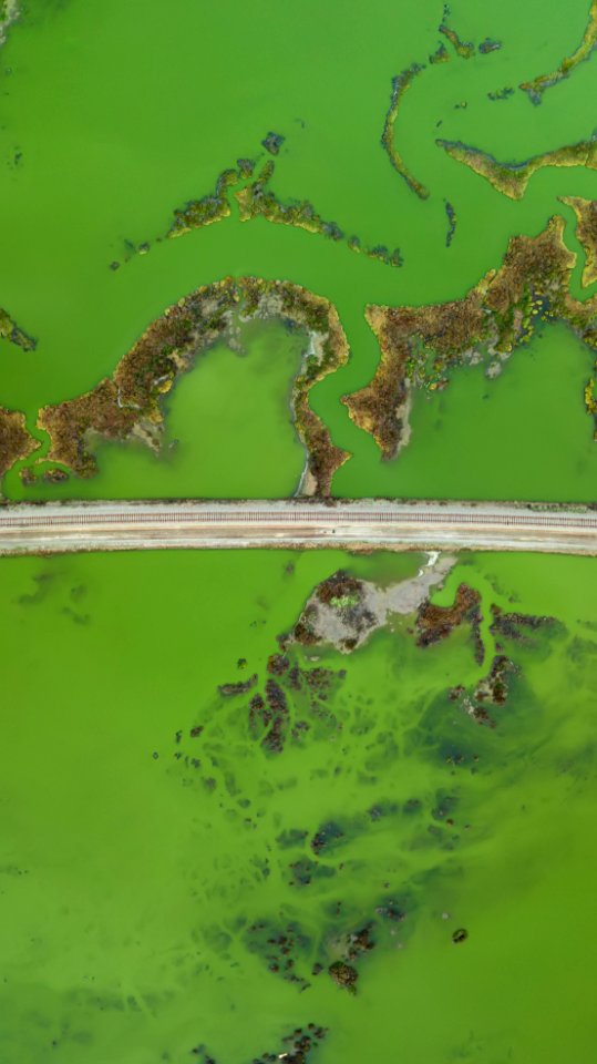 Track Through